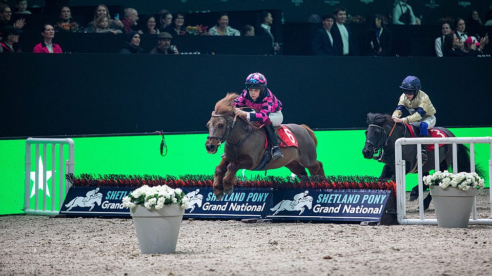 Začalo to Bobem Championem: Shetland Pony Grand National v O2 areně
