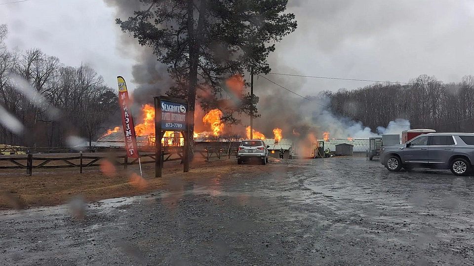Při rozsáhlém požáru v Severní Karolíně uhynulo ve stájích 36 ze 43 koní