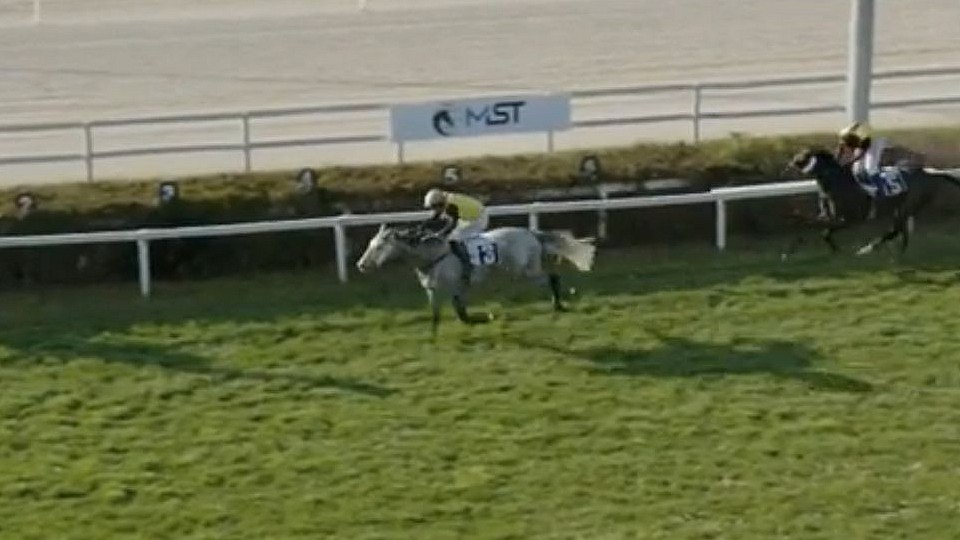 České double v Trevisu, Scuderia Aichner ovládla listed steeplechase