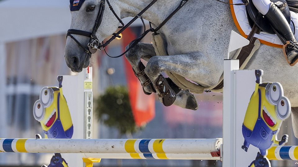 Na skokové ME 2026 do Hagenu míří dětský i juniorský tým a dva mladí jezdci