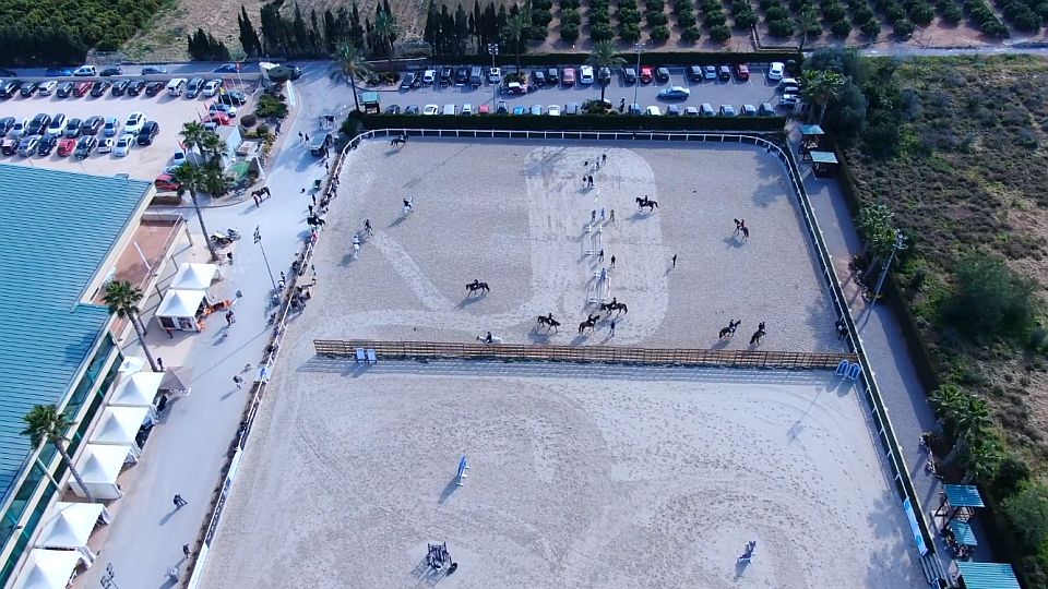 V areálu CES Valencia se rozšířil virus EHV-1. Byl potvrzen u 52 koní