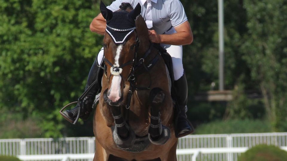 ČJF dál řeší oblečení pro olympioniky. Litex zvažuje předložit nabídku