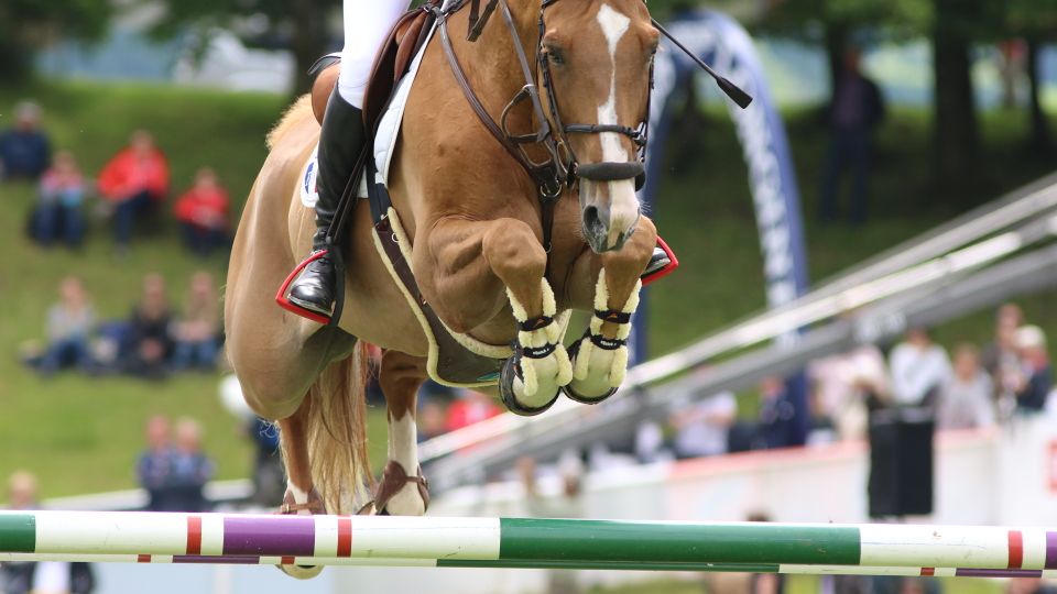 FEI řeší opětovný start závodů v kontinentální Evropě od 12. dubna