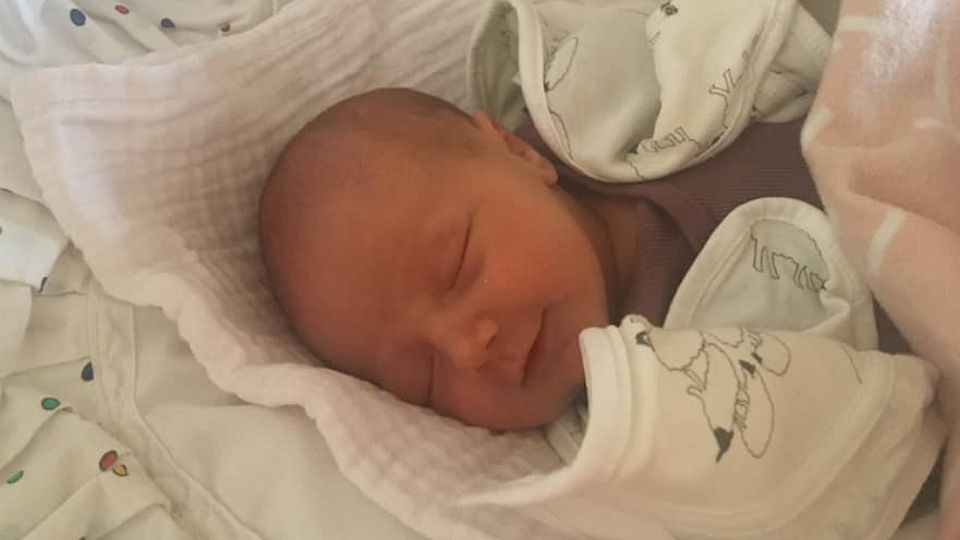 Jezdecký baby boom ve světě i v ČR. U Treterů přivítali malou Kačenku