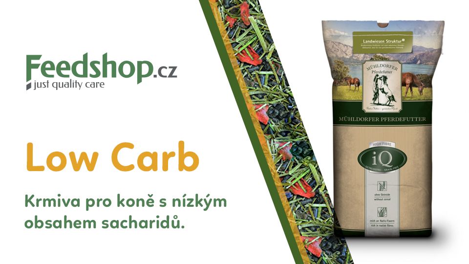 Krmivo bez obilovin podporuje zdravou výživu a odlehčuje metabolismus