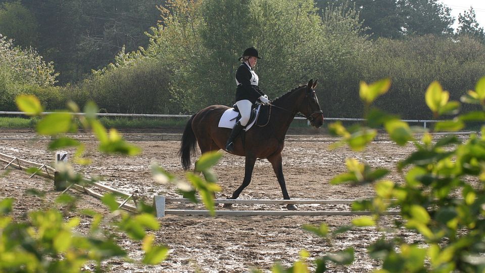 ČJF vydala podmínky pro Zkoušky základního výcviku jezdce od 26. dubna