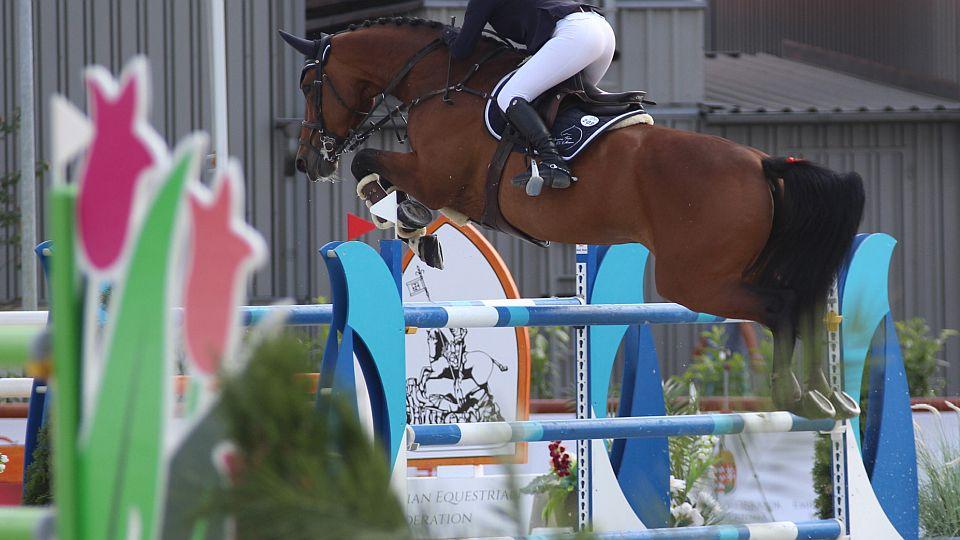 CSI2* Budapešť: Alena Machová s Chacco Bellou zazářila v Gold Tour