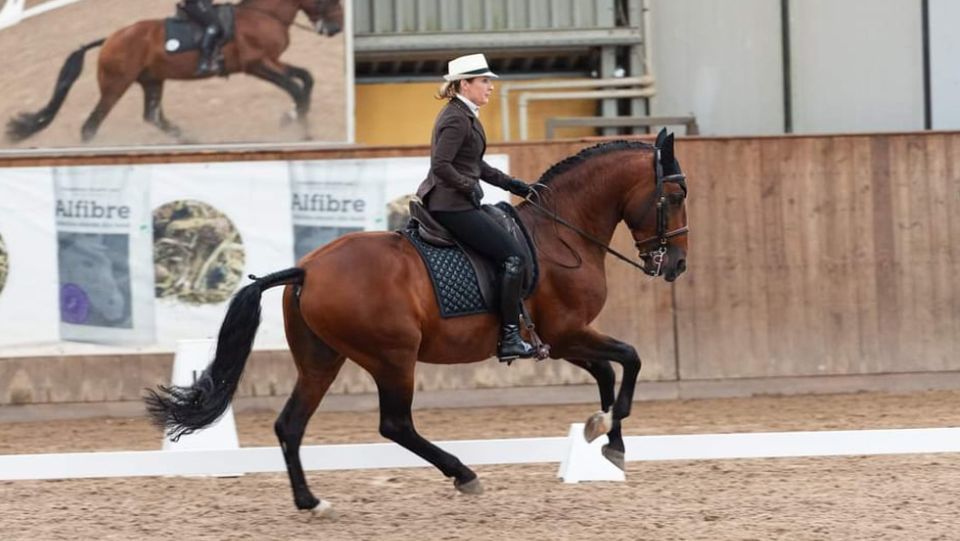 Working Equitation: Úspěšný výjezd CSWE na mezinárodní závody v Polsku