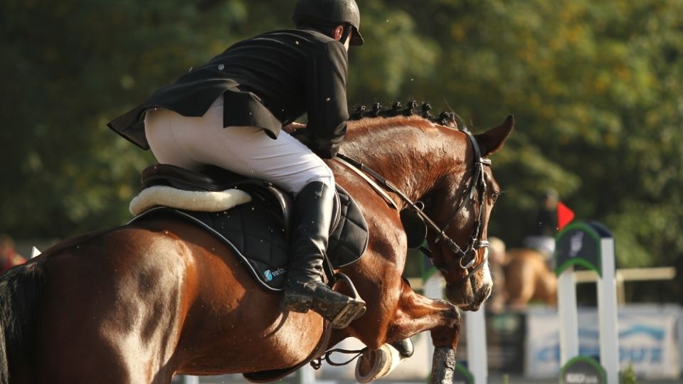 České barvy na CSI Kronenberg. V úvodu závodů se dařilo Bubákové