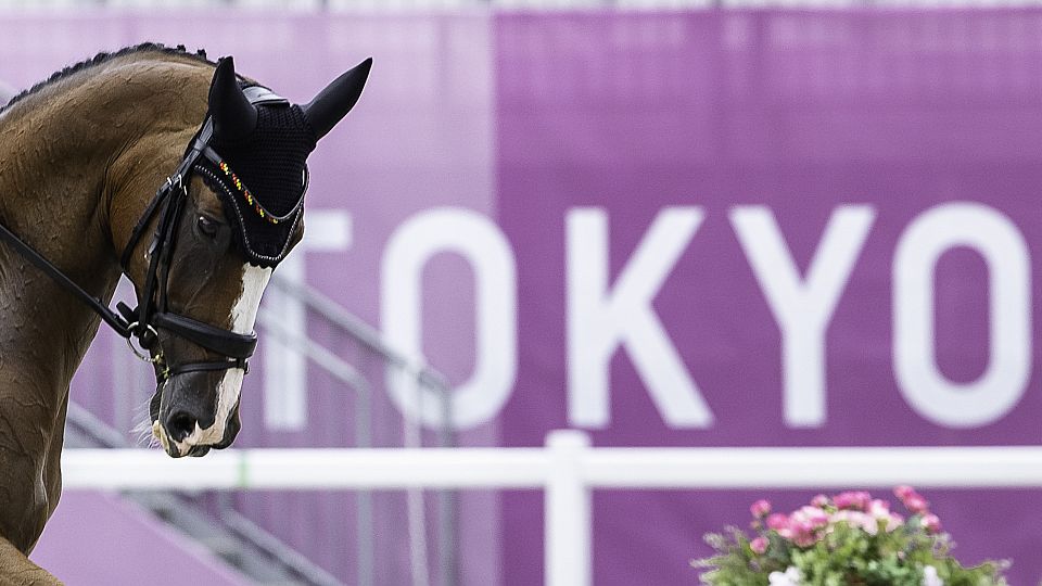 Olympiáda táhne. Jezdci.cz měli v červenci přes čtvrt milionu návštěv
