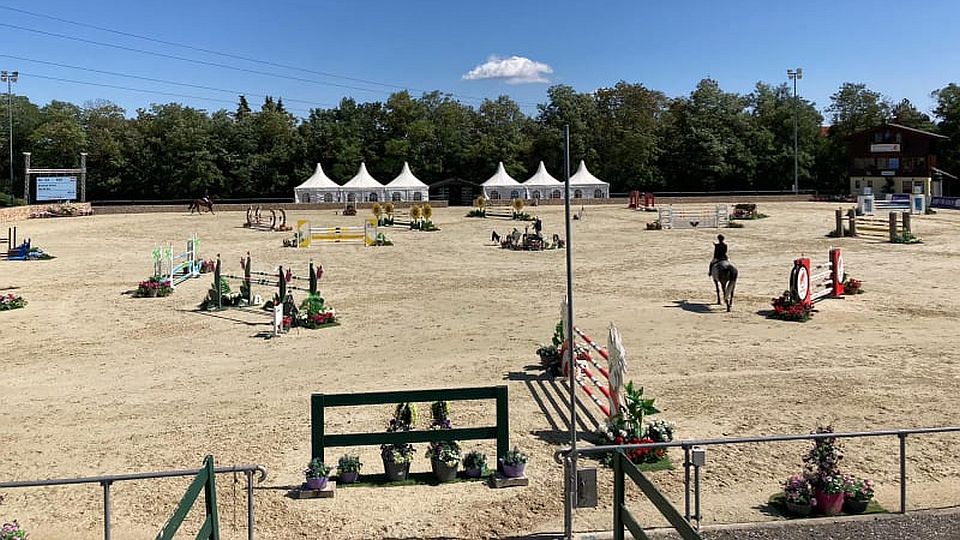 Papoušek ve Wr. Neustadtu úspěšný s mladými koňmi. Vivano Blue druhý