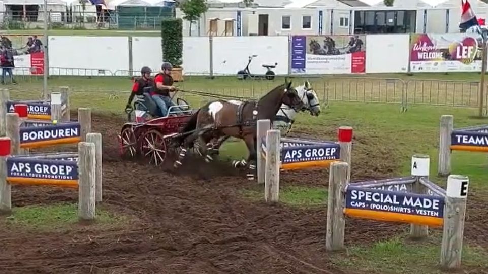 Maďaři se ujali vedení na MS dvojspřeží. Z Čechů nadále nejvýše Soukup